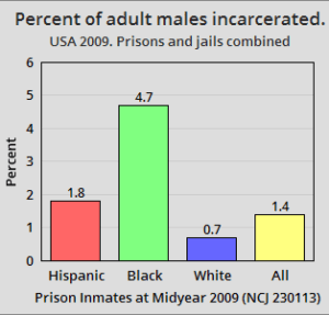 incarceration by ethnicity 2009