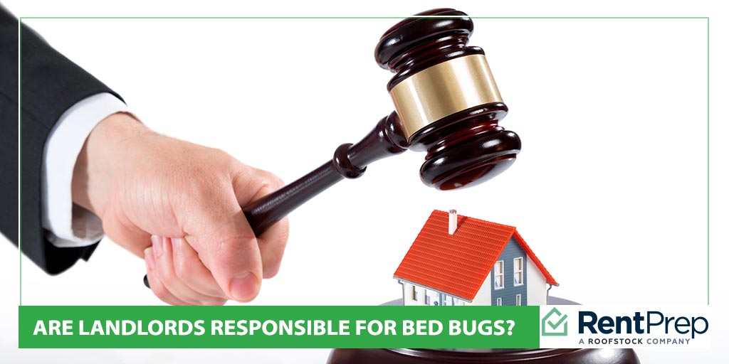 Are Landlords Responsible for Bed Bugs? RentPrep