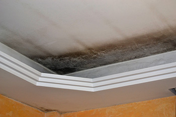 An apartment ceiling with mold and water damage