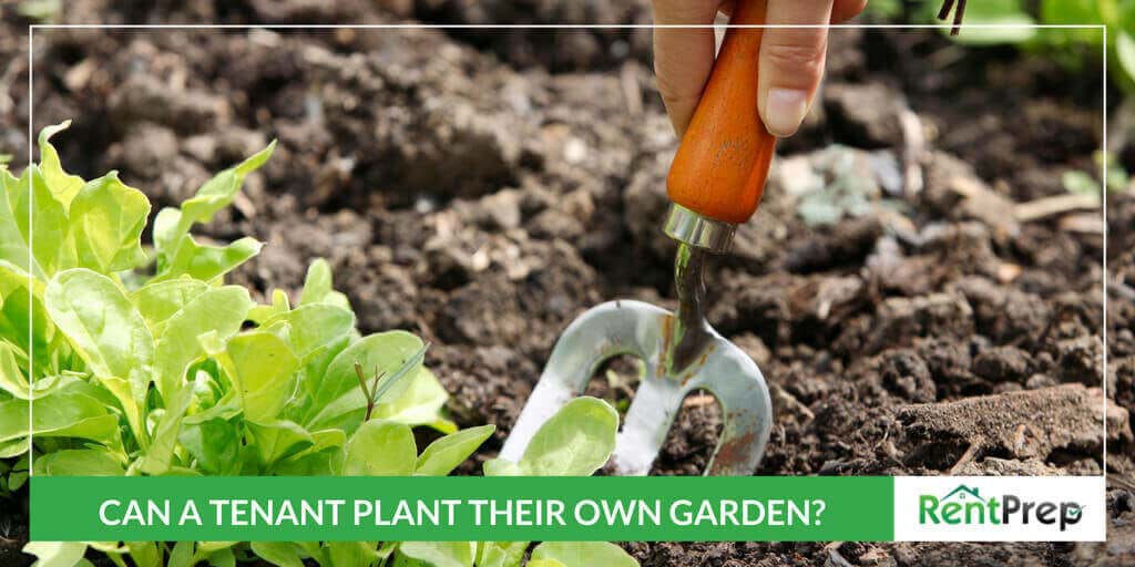 Can a Tenant Plant Their Own Garden?