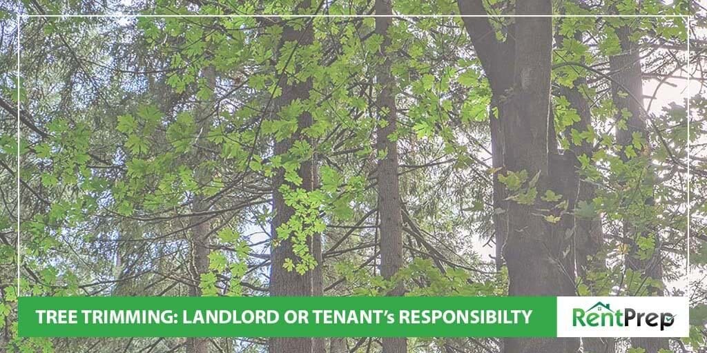 Tree trimming landlord or tenant