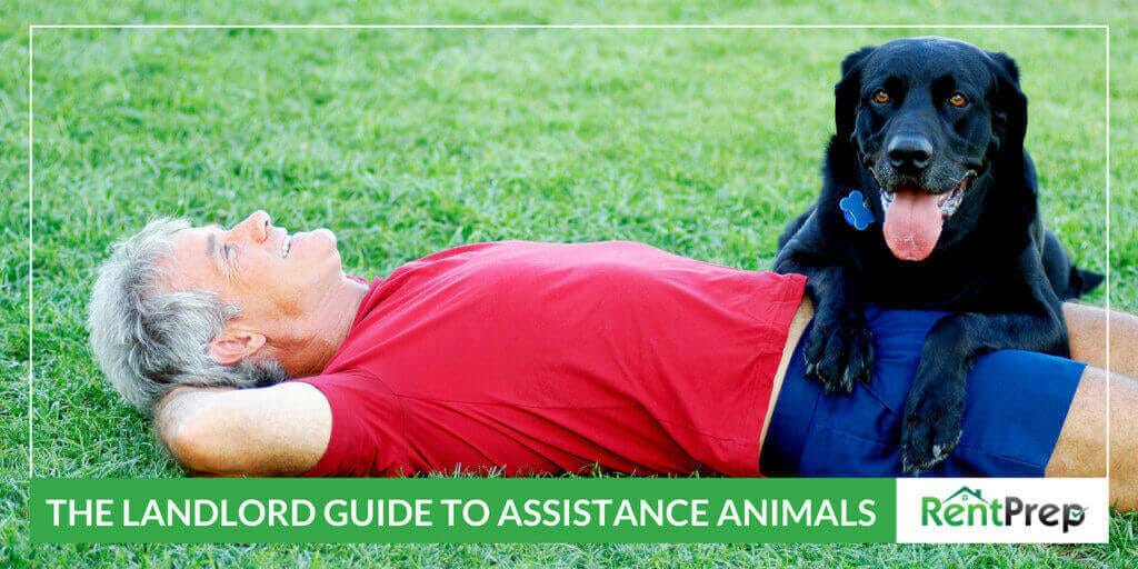 THE LANDLORD GUIDE TO ASSISTANCE ANIMALS