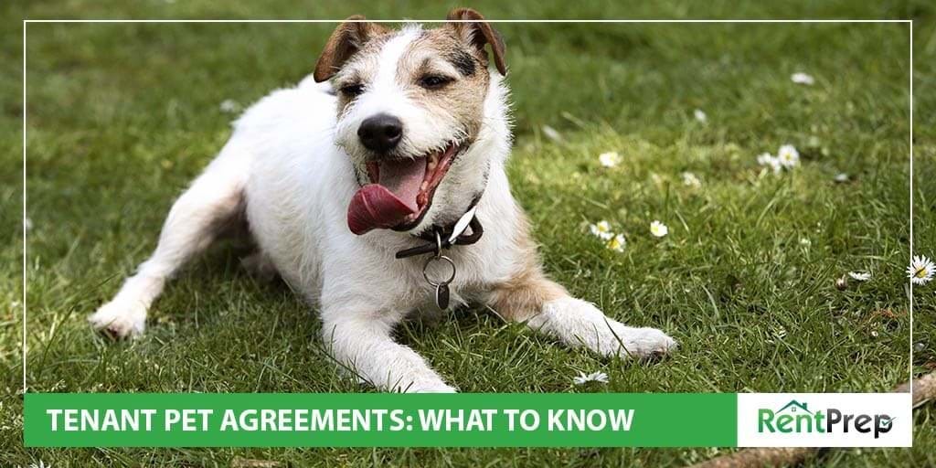 Tenant pet agreement