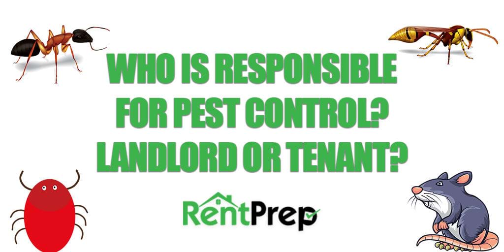 Is Pest Control the Landlord's or Tenant's Responsibility?