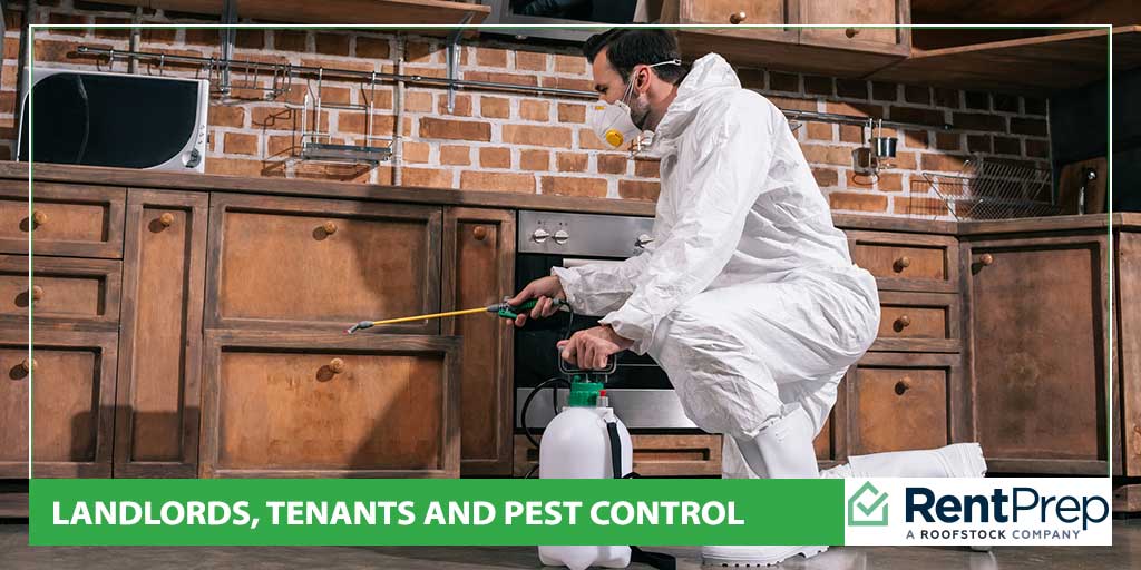 Landlords, Tenants and Pest Control
