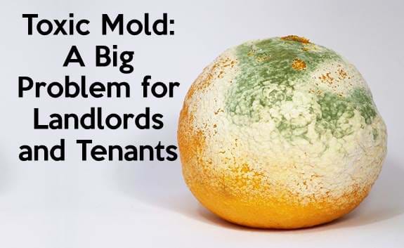 Toxic Mold: A Big Problem for Landlords and Tenants