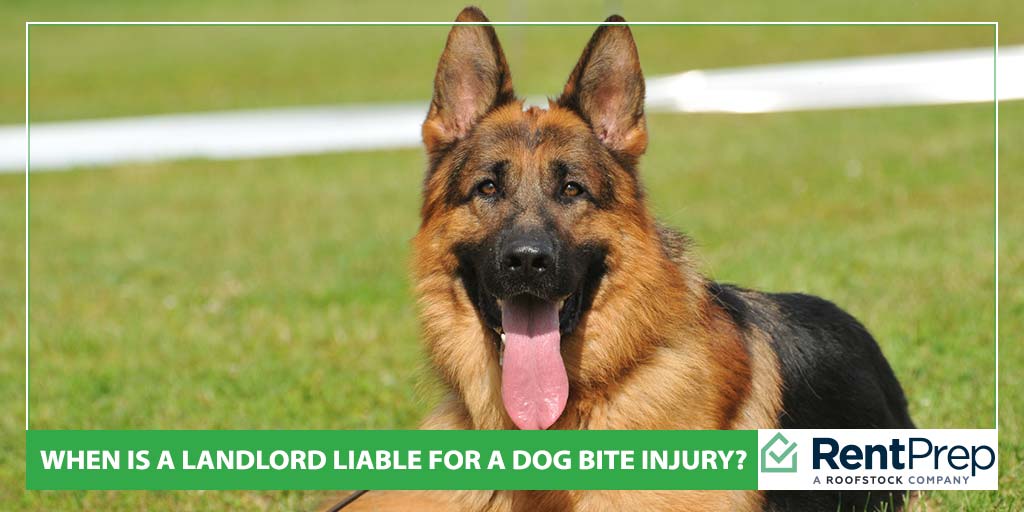 When Is a Landlord Liable for a Dog Bite Injury?