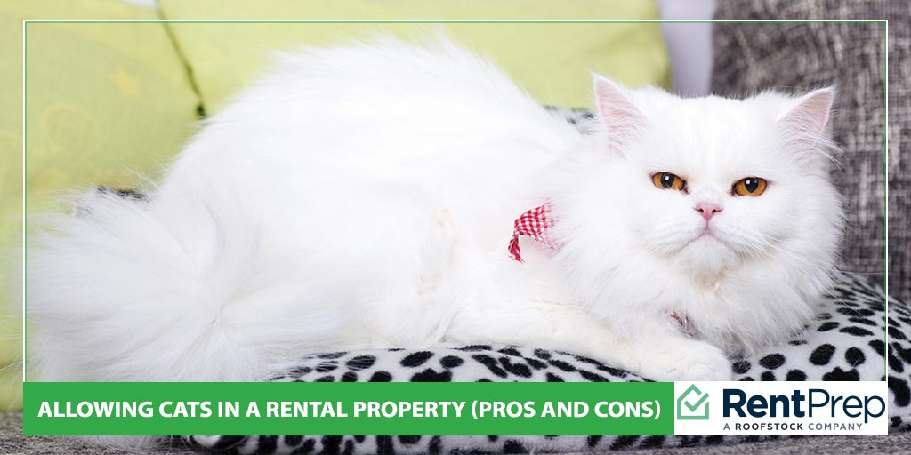 Allowing Cats In A Rental Property (pros and cons)