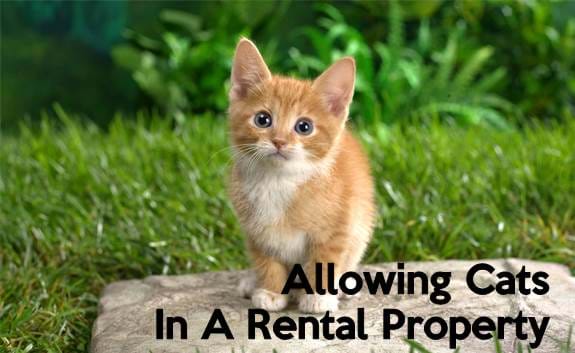 landlord tenant rent cats