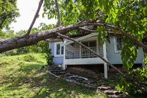 Is landlord responsible for fallen tree?