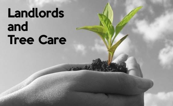 landlord tenant rent tree care