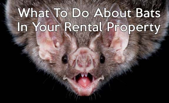 landlord tenant rent bats