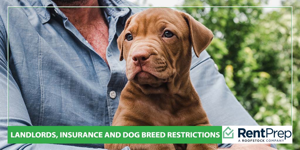 Landlords, Insurance and Dog Breed Restrictions