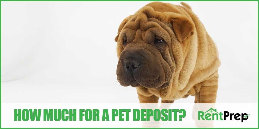 charge for a pet deposit