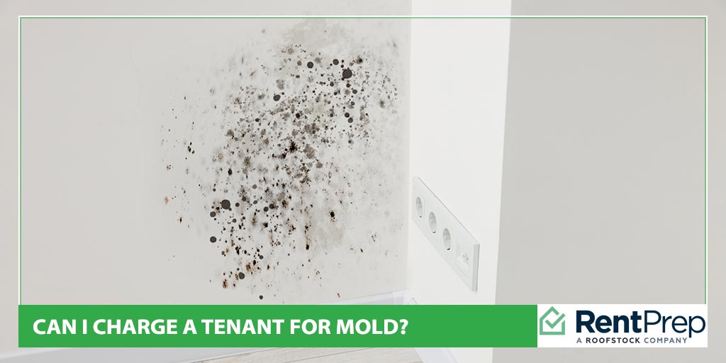 Can I Charge A Tenant For Mold?