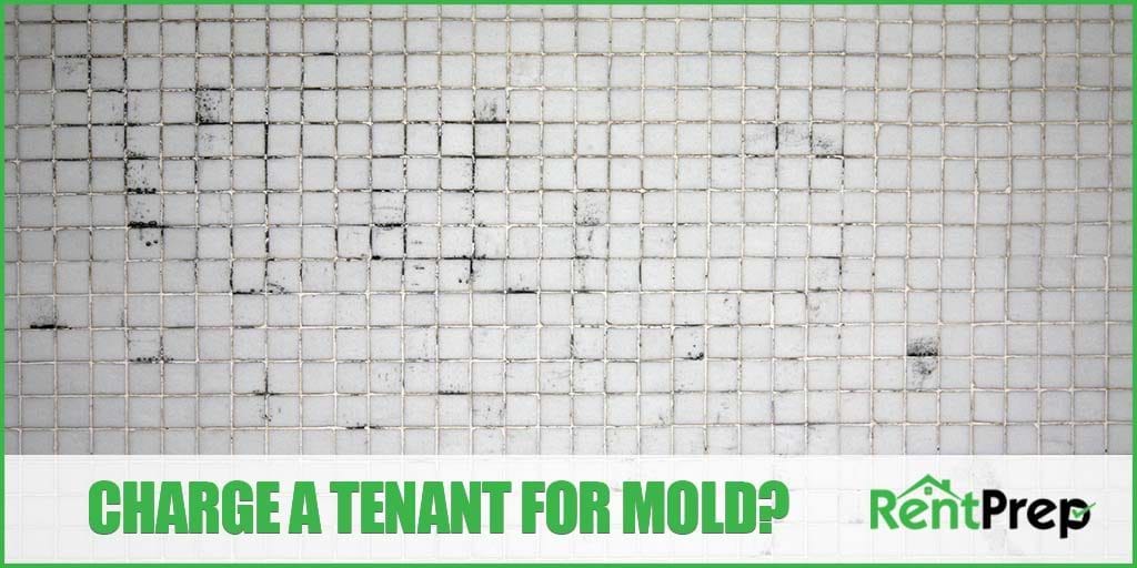 charge a tenant for mold