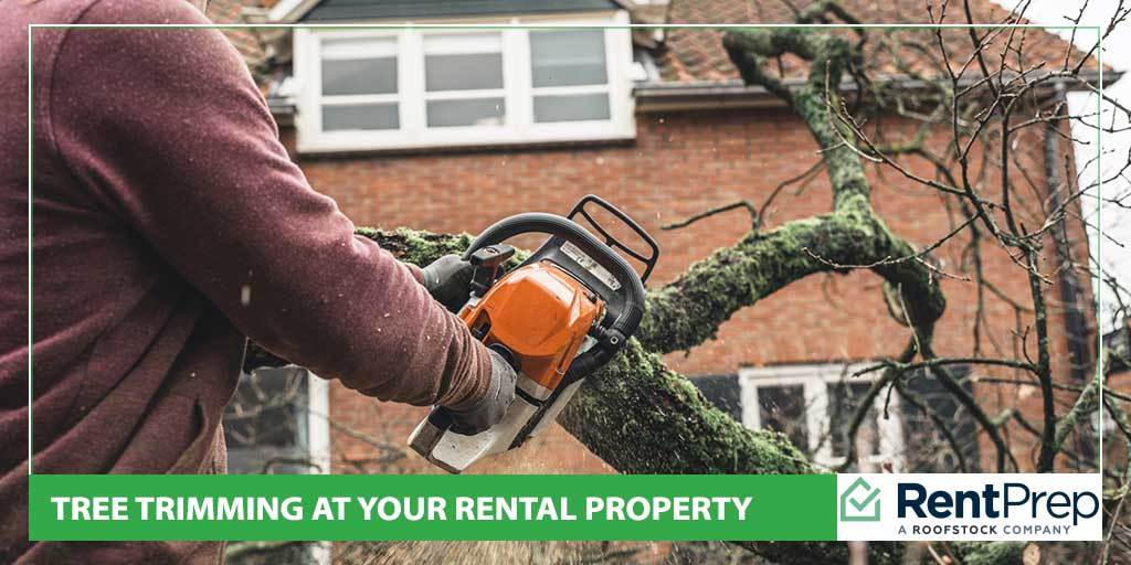 Tree Trimming at Your Rental Property