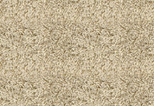 Carpet - Best for Rental Property Living Rooms