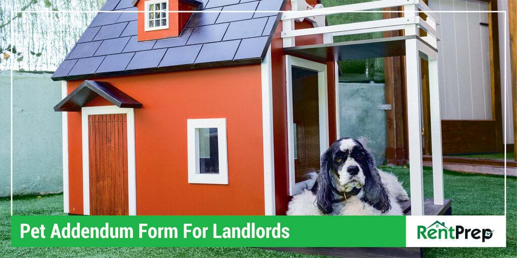 Pet Addendum Form For Landlords (Including Free Sample!)