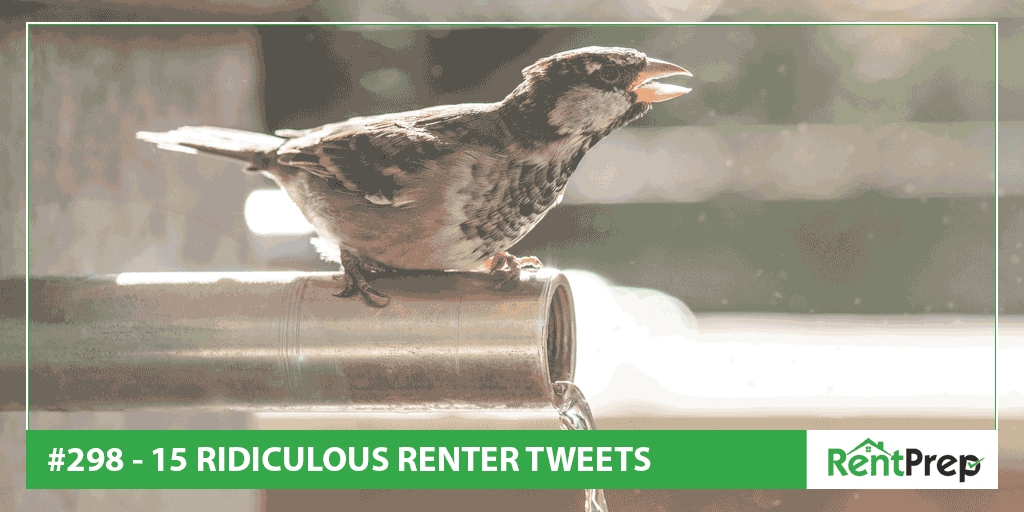 Podcast 298: 15 Ridiculous Renter Tweets