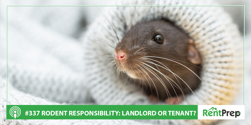 Podcast 337: Are Rodents the Landlord's or Tenant's Responsibility?
