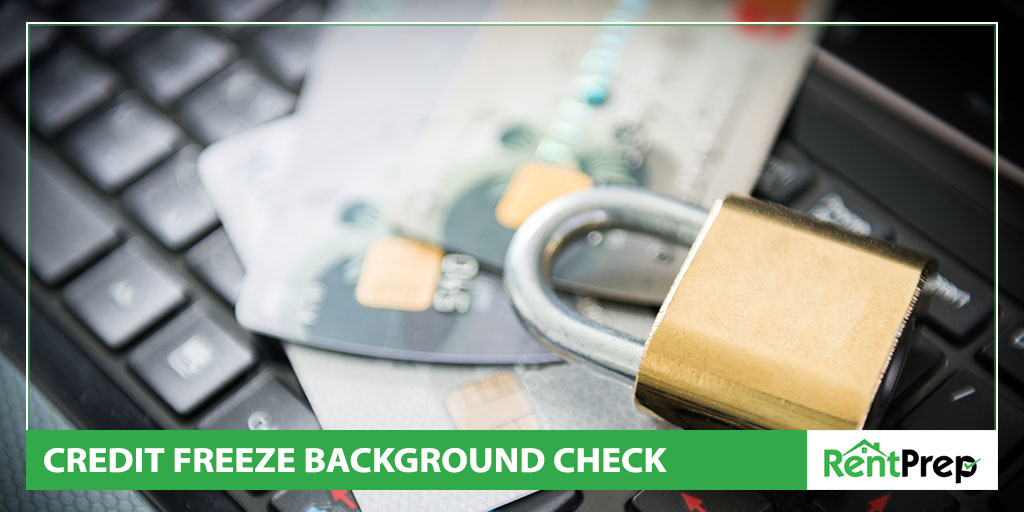 credit freeze background check