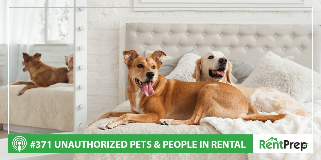 Podcast 371: Unauthorized Pets & People in Rental