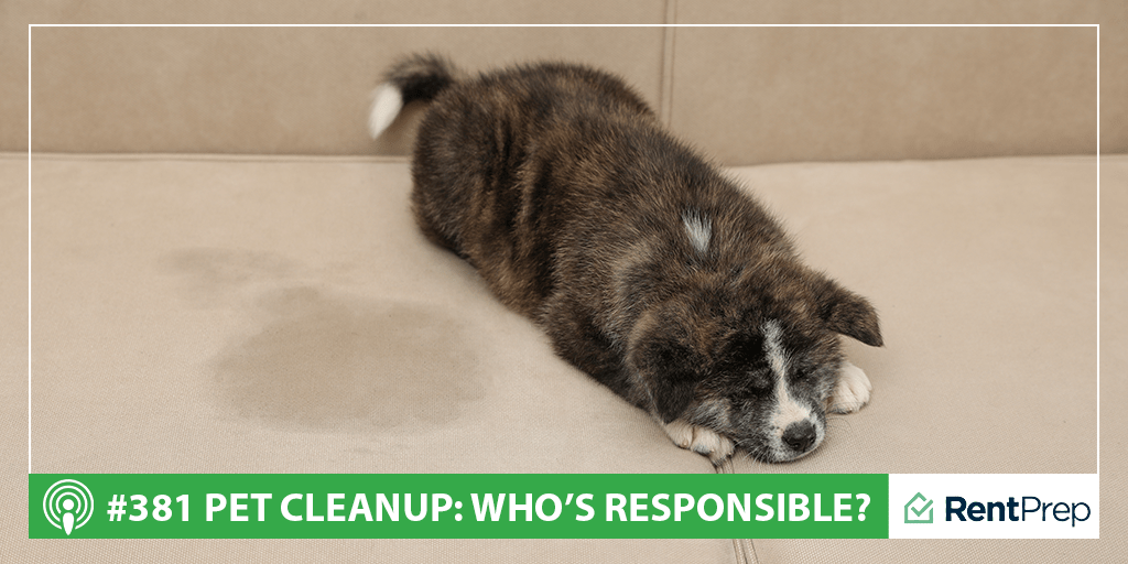 Podcast 381: Who's Responsible for Pet Cleanup?