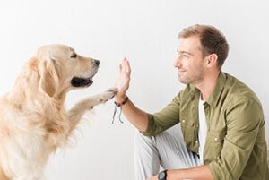Pet Screening For Apartments: Step-By-Step Guide For Landlords